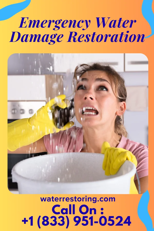 Emergency Water Damage Restoration in Rembrandt, IA